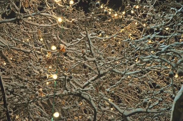 Winterimpressionen   004.jpg